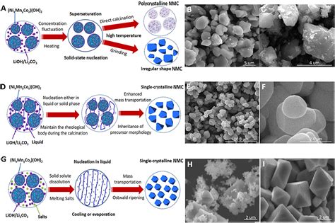 Reactive seeding growth of cobalt.